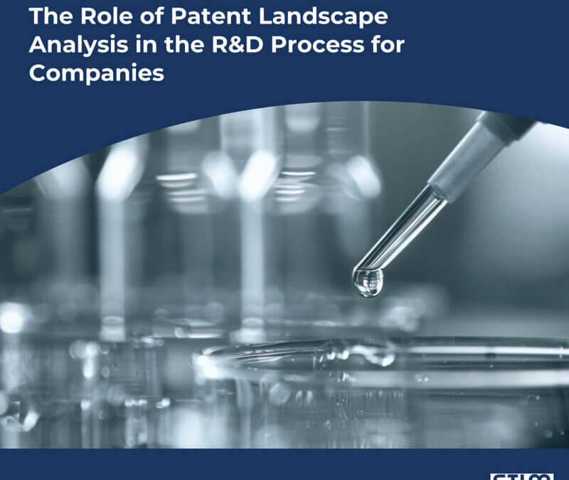 Patent Landscape Analysis in the R&D Process for Companies