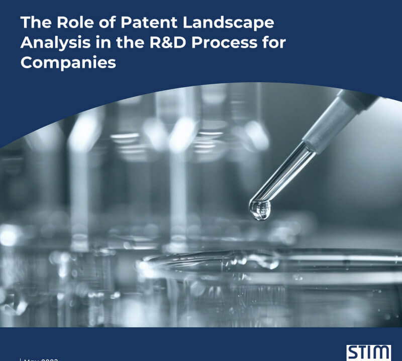 Patent Landscape Analysis in the R&D Process for Companies