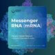 Messenger RNA mRNA)